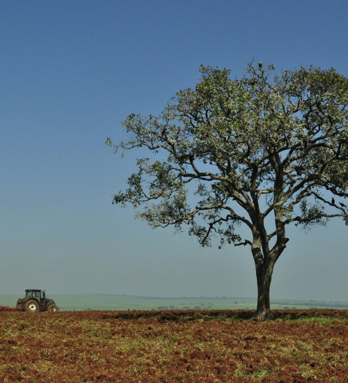 Embrapa apresenta novo plano diretor para próximos 10 anos