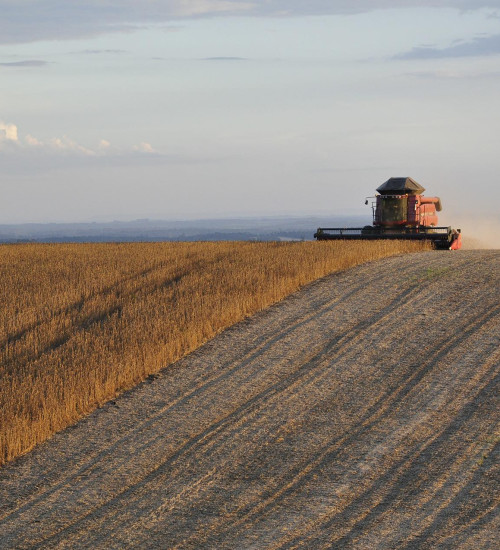 Estoque de produtos agrícolas tem queda de 17% no primeiro semestre