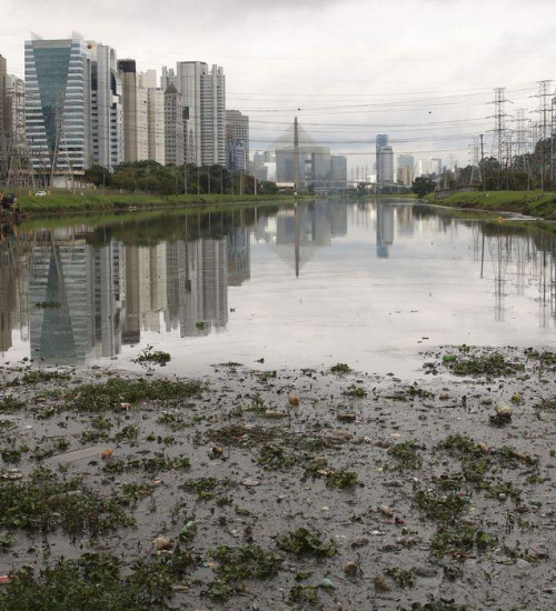 SP: máquina para capturar pernilongos está em testes no Rio Pinheiros