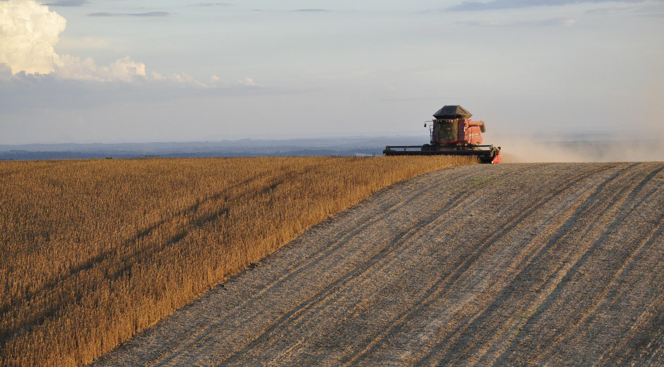 Estoque de produtos agrícolas tem queda de 17% no primeiro semestre