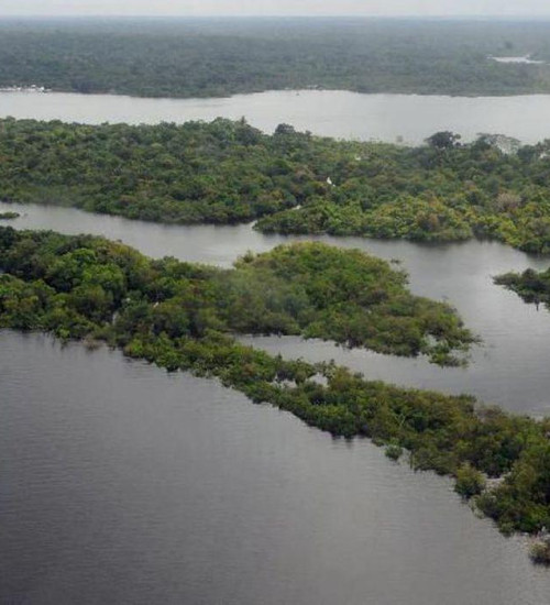 Missão diplomática faz visita à Amazônia Ocidental
